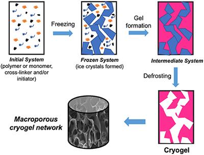 Heavy Metal Ions Removal From Wastewater Using Cryogels: A Review